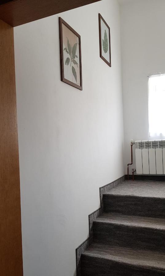 Apartament Tarnow-Moscice Przy Moscie Exterior foto